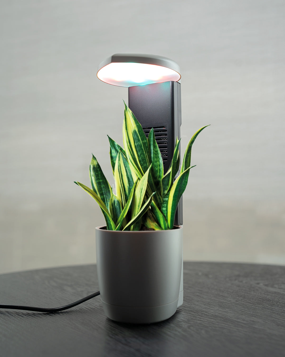 Planter Indoor Garden with Plant Grow Light