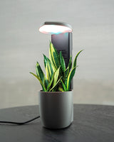Planter Indoor Garden with Plant Grow Light